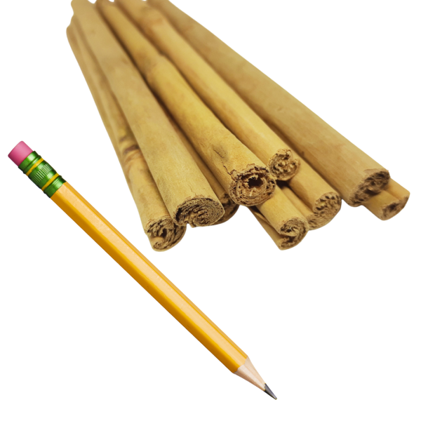 Cinnamon Sticks- Alba Grade - Image 3