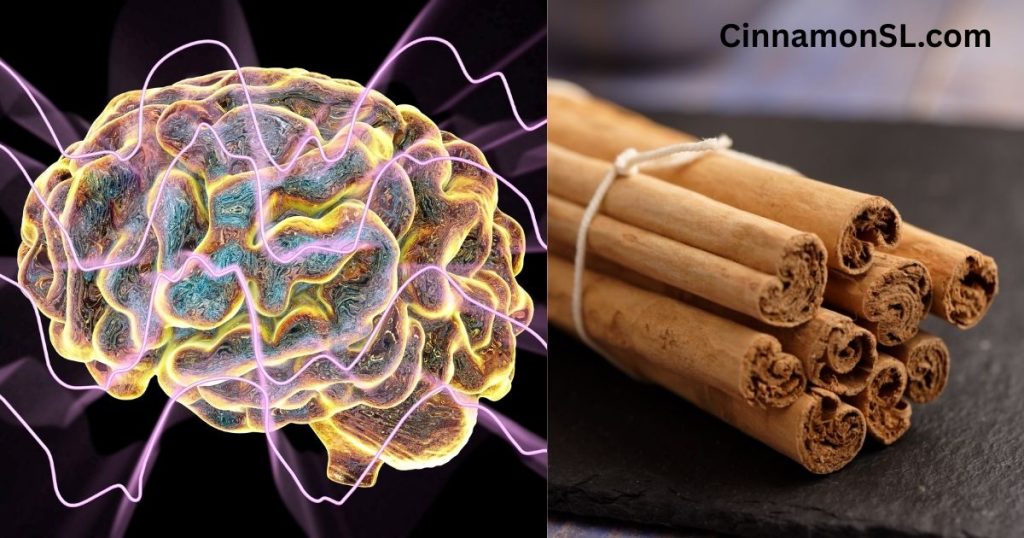 Boosting Brain Power: The Cognitive Benefits of Ceylon Cinnamon