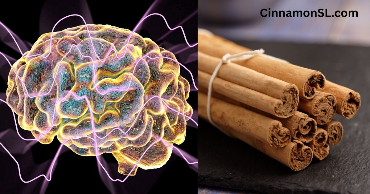 Boosting Brain Power: The Cognitive Benefits of Ceylon Cinnamon