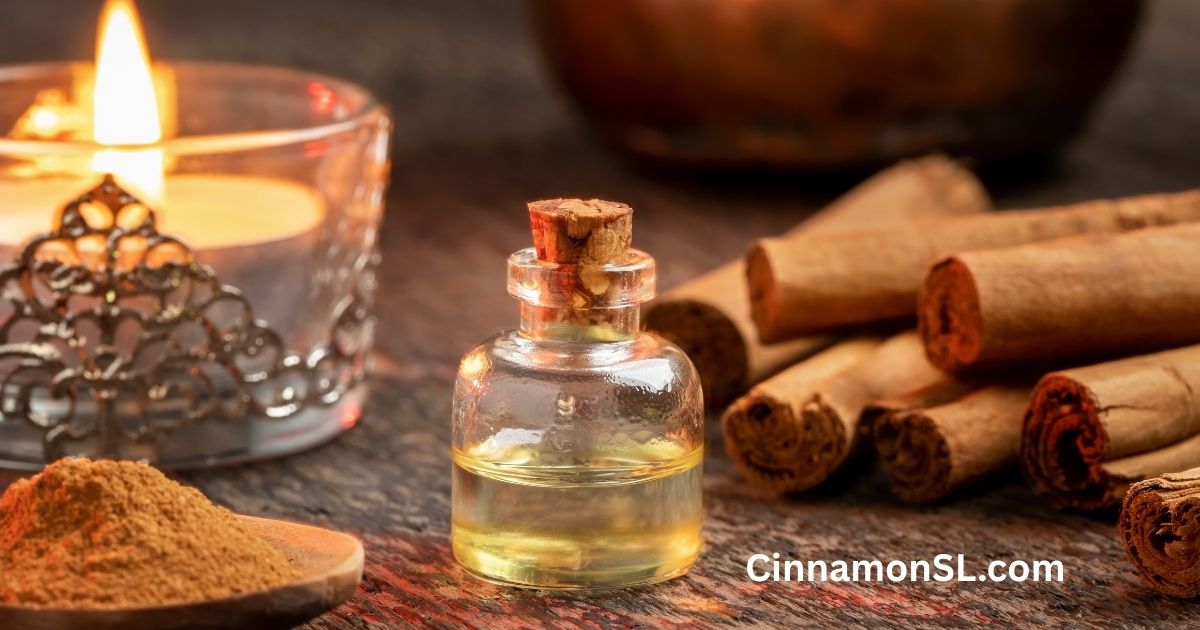 Cinnamon Oil vs. Powder Which One Should You Use (and when)