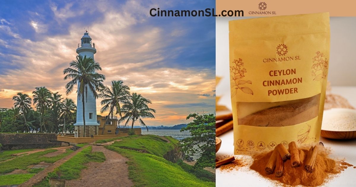 Traveling to Sri Lanka? Here’s Where Ceylon Cinnamon Really Comes From